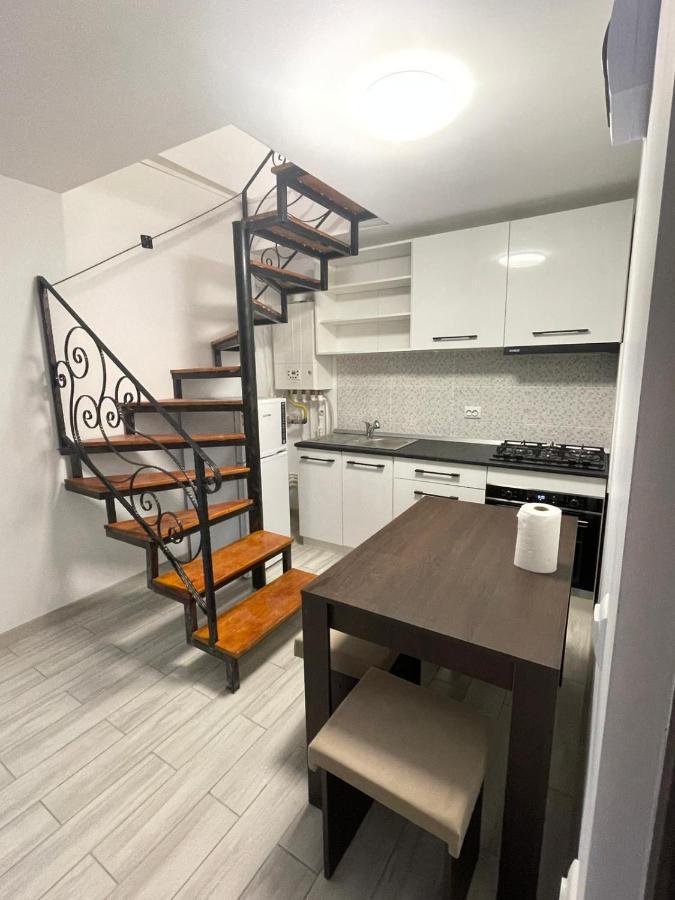 Casa Dan Apartment Buzău Exterior photo