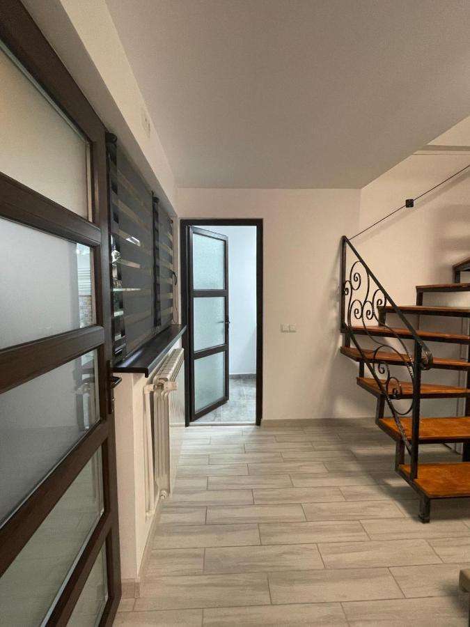 Casa Dan Apartment Buzău Exterior photo