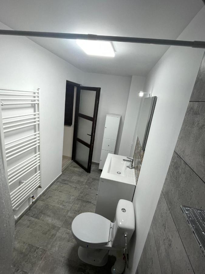 Casa Dan Apartment Buzău Exterior photo